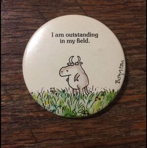 ISO Hippo Boynton PIN